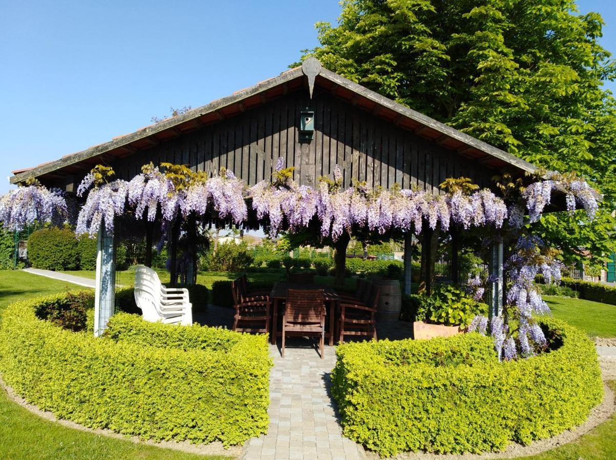 'T Hooghe Licht Bed & Breakfast Ζονεμπέκε Εξωτερικό φωτογραφία