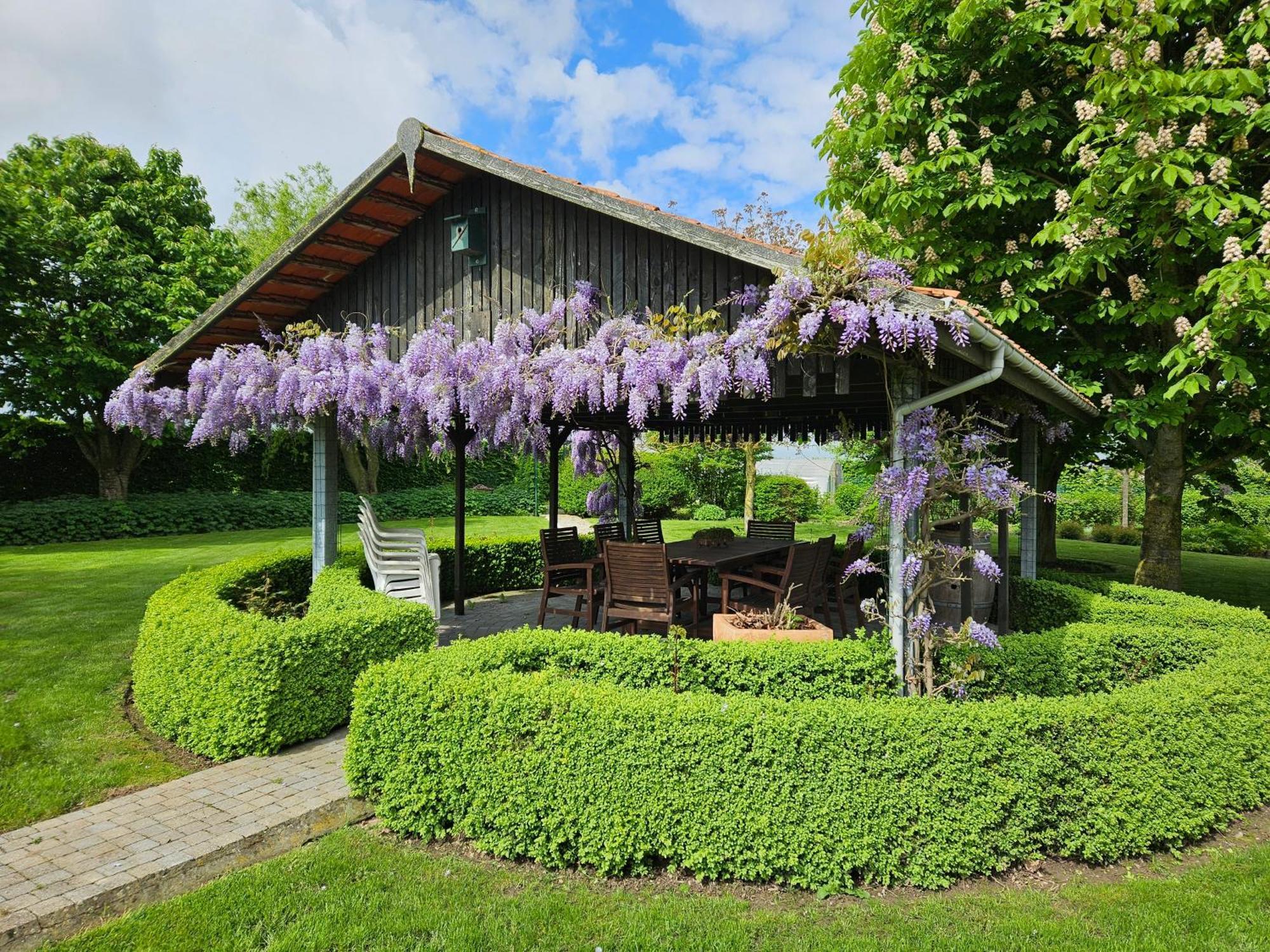'T Hooghe Licht Bed & Breakfast Ζονεμπέκε Εξωτερικό φωτογραφία